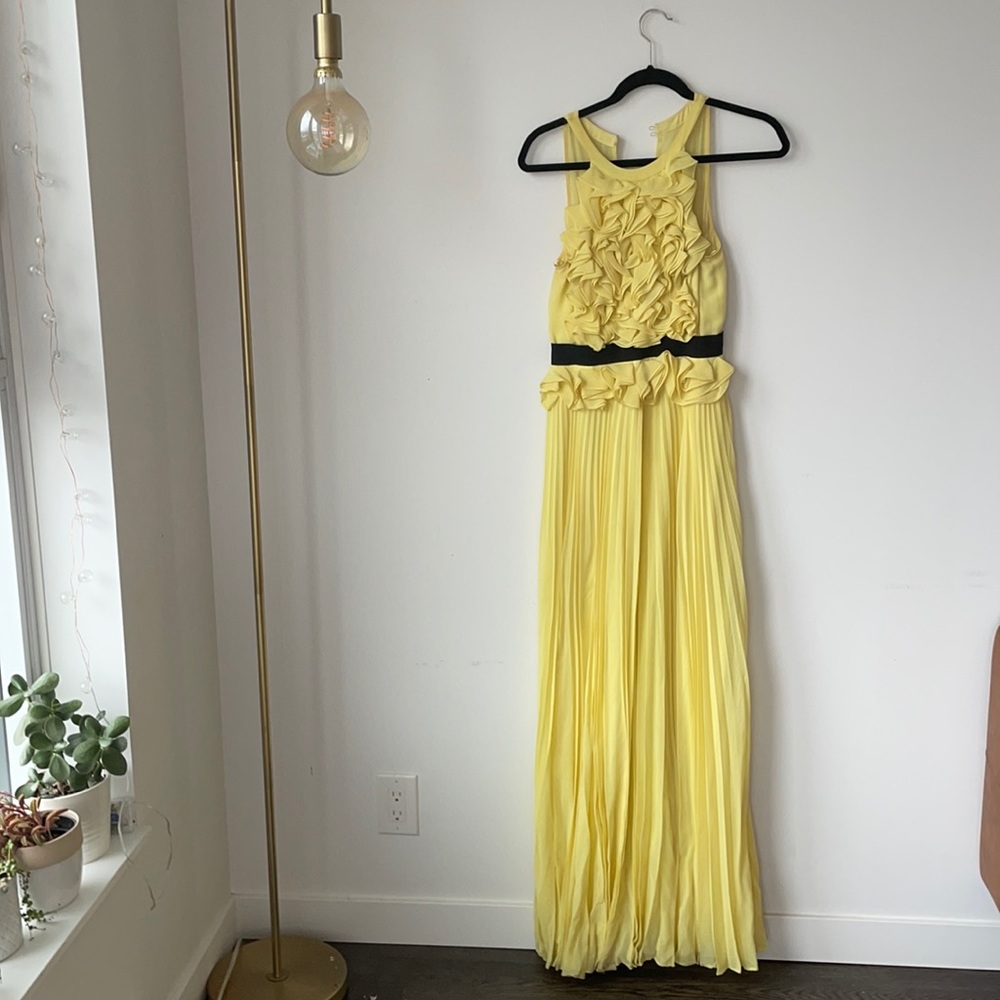 Bcbg maxi dress